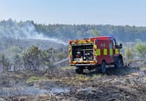 Hampshire's wildfire crisis: A call for caution