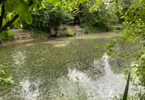 Water great idea: Plans to open up pond near Butser to disabled anglers