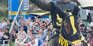 Fun in the sun as families flock to The South Downs Show