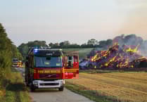 Farmland inferno as blaze engulfs 200 bails on East Hampshire farm
