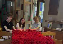 You're never to young to help the Petersfield Poppy Project