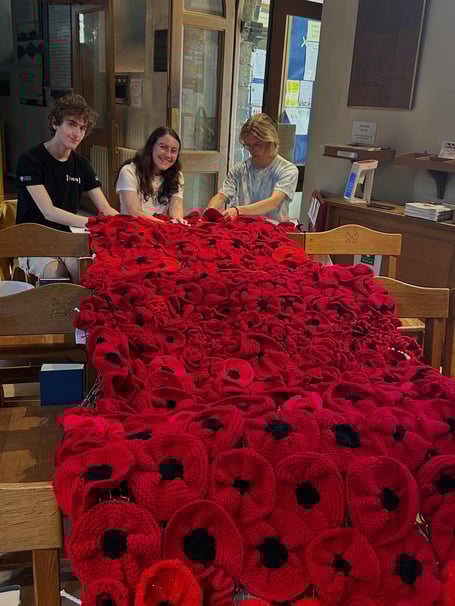 Petersfield Poppies St Peter's Cascade