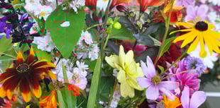 Blooming good fun at Liss Horticultural Society show