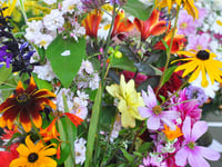 Blooming good fun at Liss Horticultural Society show