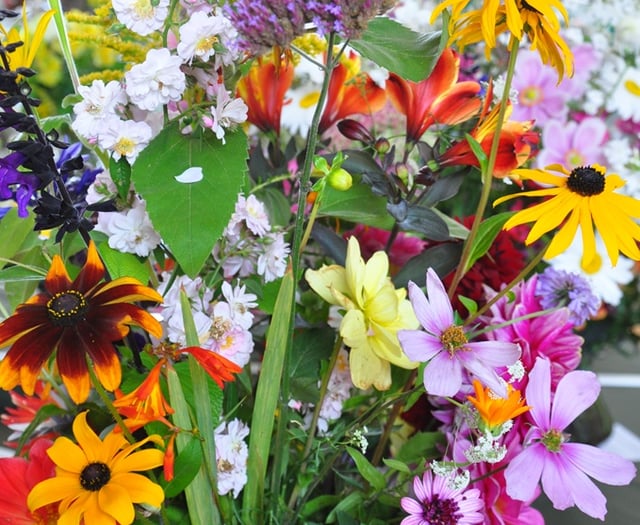 Blooming good fun at Liss Horticultural Society show