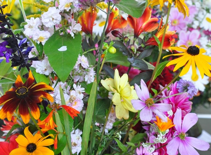 Flowers on display at last year's Liss Horticultural Society Show.