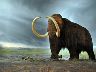 Peeps into the Past: When mammoths roamed the Farnham countryside