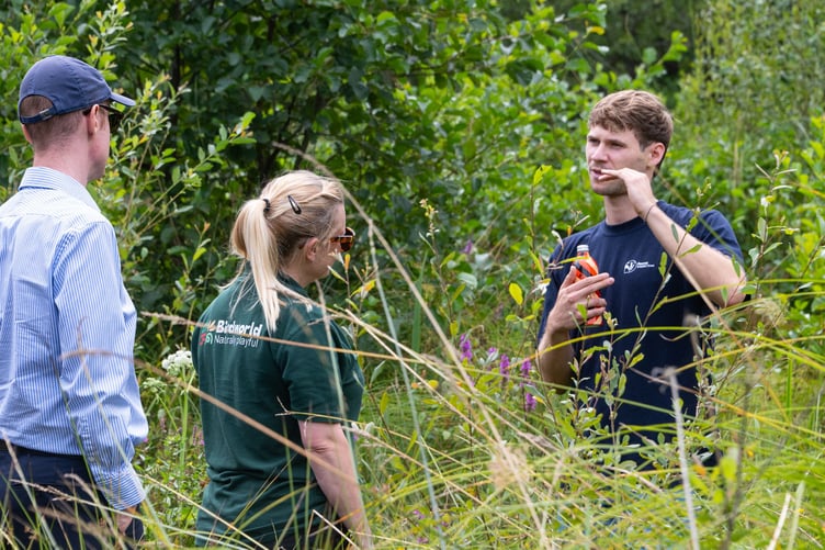 Surrey Wildlife Trust and Birdworld representatives on a site visit.
