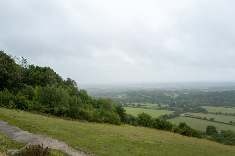 View of the general area of the Surry Hills where a man says he was attacked by a "leopard". // A man was left bleeding and with claw marks all over his body - after an encounter with a 'leopard' in a Surrey woodland. The 69-year-old, who did not want to be named, said he was walking in the Surrey Hills last Sunday (August 31) when he spotted a deer through a hedge. He stopped to take photos and all of a sudden he heard a "screech" as a light-coloured animal "with dark spots" leapt onto the deer, sending the pair tumbling towards him. In the chaos, the deer managed to escape and flee into the woods, but the big cat landed on top of the walker and started clawing at him.