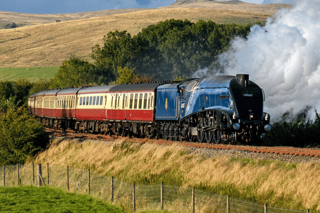 Get up close to iconic steam locomotive at the Watercress Line