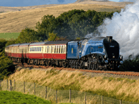 Get up close to iconic steam locomotive at the Watercress Line