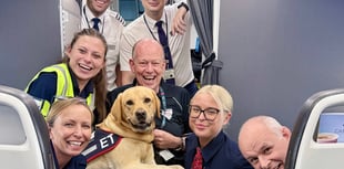 Hola Hounds for Heroes as assistance dog makes 100th flight
