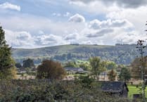 Paraglider rescued from tree at South Downs beauty spot