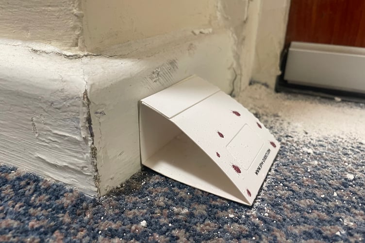 Bed bug trap outside the flats in Shaftesbury Court