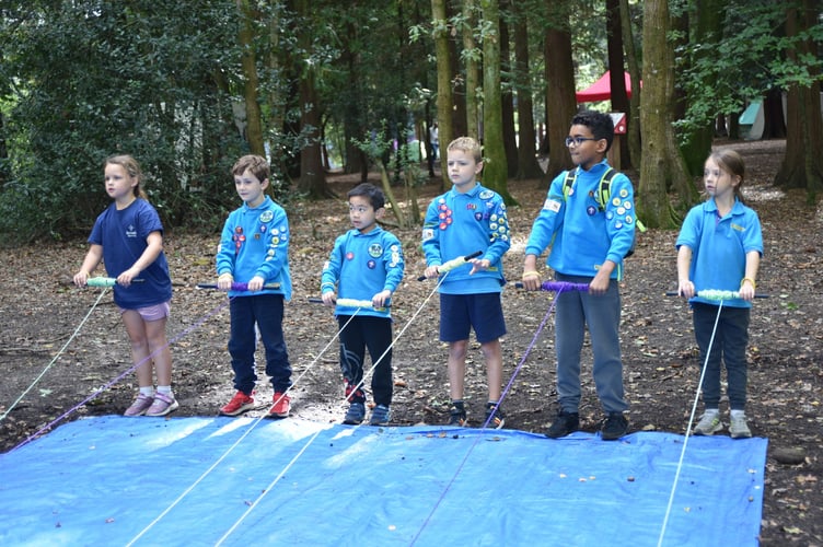 Scouts from Fernhurst, Farnham and Haslemere join Beavers Go Wild