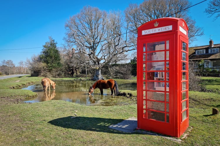 File photo of the New Forest. // Plans to introduce parking charges across the New Forest have been approved. Forestry England said the fees are intended to help in the face of "rising costs and visitor numbers" Under the scheme, local people and regular visitors will be able to buy an annual membership costing less than £2 a week to park as often as they like. For those without the membership, prices will start at £1.50 for one hour, £3 for two hours, £5 for four hours and £8 for over four hours.