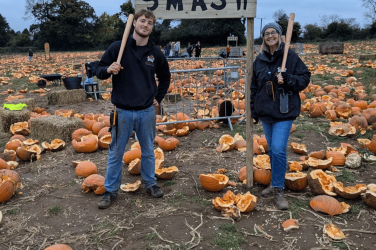 Rogate Pumpkin Patch