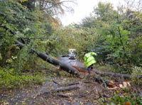 Storm Benjamin hits as tree fall blocks Stoner Hill near Petersfield