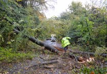 Tree fall blocks 'Little Switzerland' road near Petersfield as Storm Benjamin hits