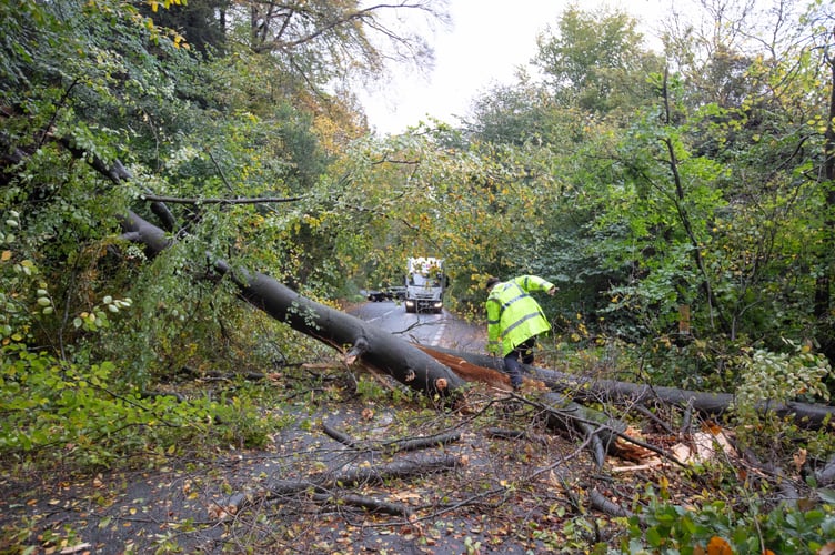 STORM BENJAMIN: A fallen tree blocks the road at Stoner Hill Road near Petersfield in Hampshire this morning as storm Benjamin moves through the south of England. Photograph By Chris Gorman / Big Ladder 23rd october 2025.