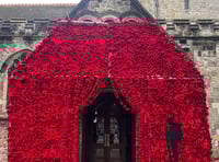 Wool you have a look at this? Pride in Petersfield Poppy Project