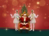 Santa ‘swans’ into Birdworld for festive family shows