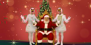 Santa ‘swans’ into Birdworld for festive family shows