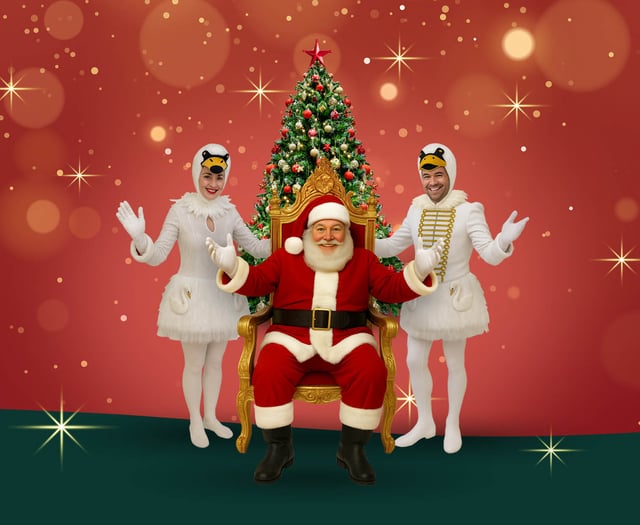 Santa ‘swans’ into Birdworld for festive family shows
