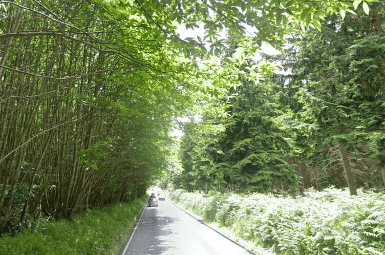 The 21-year-old Haslemere cyclist died in hospital on Saturday morning