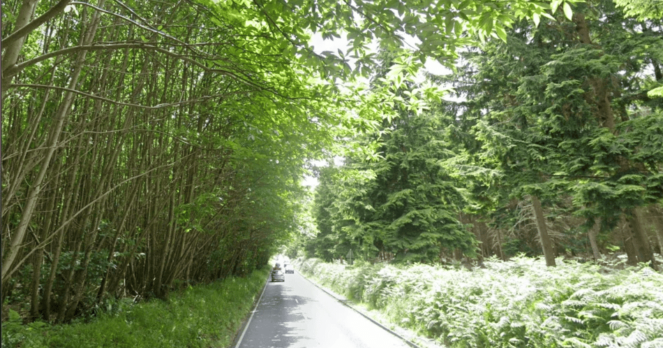 Haslemere cyclist dies after suspected hit-and-run