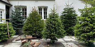 Charity's early Christmas gift from Rake Garden Centre