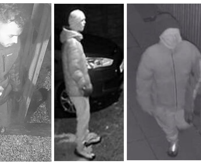 Attempted burglaries in Clanfield: CCTV images of trio released