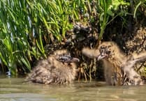 Calls made to protect national landscapes