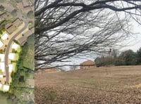 Liss field earmarked for 30 homes - but with no affordable housing