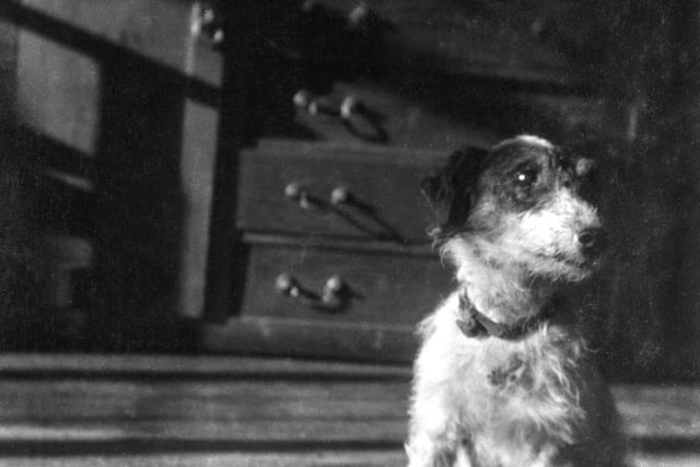 Half-price admission to see Winifred Joseph exhibition in Petersfield
