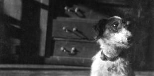 Half-price admission to see Winifred Joseph exhibition in Petersfield