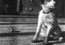 Half-price admission to see Winifred Joseph exhibition in Petersfield