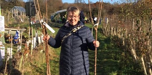Dreaming of a green Christmas as PeCAN has a tree-mendous offer