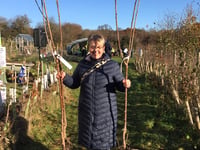 Dreaming of a green Christmas as PeCAN has a tree-mendous offer
