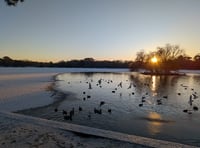 Winter wonderland as Petersfield wakes up to dusting of snow