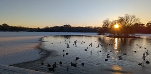 Winter wonderland as Petersfield wakes up to dusting of snow