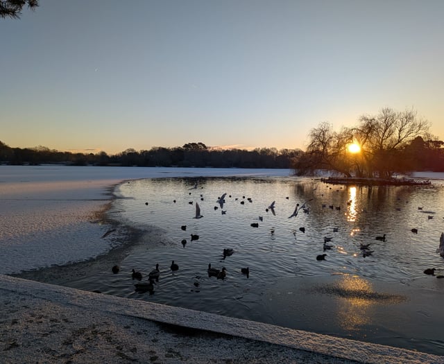 Winter wonderland as Petersfield wakes up to dusting of snow