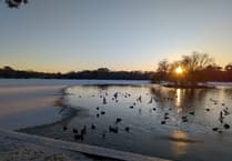 Winter wonderland as Petersfield wakes up to dusting of snow