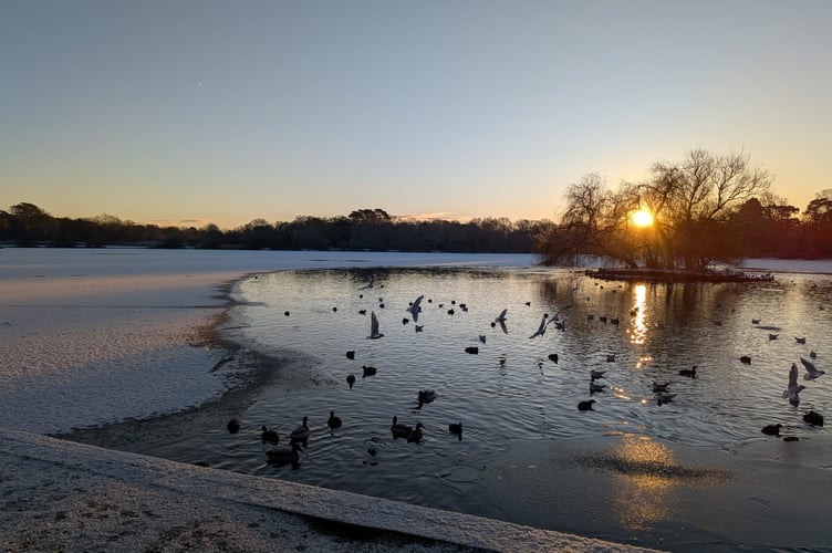 Petersfield Heath Pond Snow PIC1