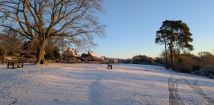 Help Society and have a say in our green spaces