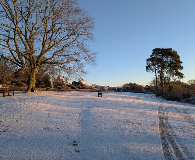 Help Society and have a say in our green spaces