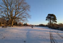 Help Society and have a say in the future of Petersfield's green spaces