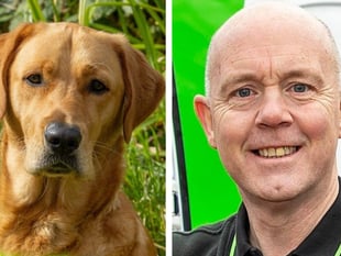 Businessman thrilled for pedigree chum after Guide Dog graduation