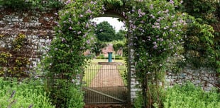 Residents invited to open gardens for hospice fundraiser