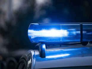 Driver seriously injured after car hits tree in Selborne